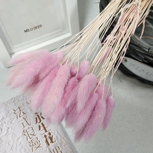

120pcs/lot natural tail dried flowers real touch eternal for wedding home decoration,arrangement shooting props