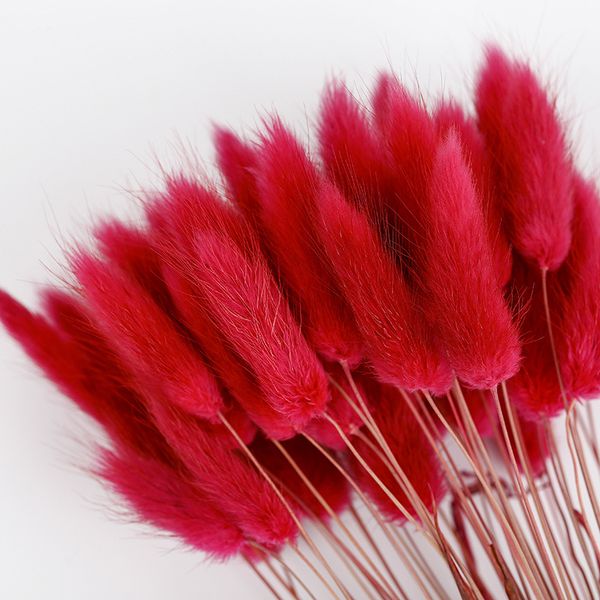 

new 50 pcs dried flower grass decoration pgraphy props for home store wedding usj99