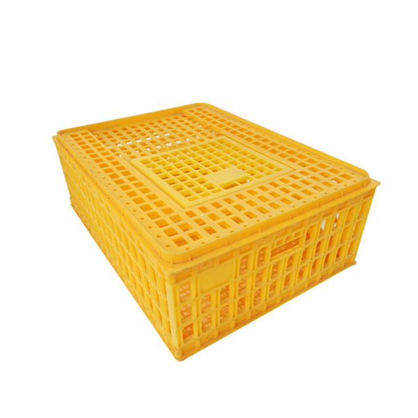 

chicken cage plastic home poultry turnover box transportation into
