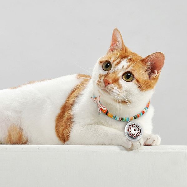 

adjustable dog collar anti flea tick collars repel lice jack russell mite mosquitoe pet necklace neck strap practical outdoor insecticidal