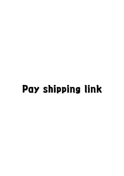 

pay shipping link to make up the post