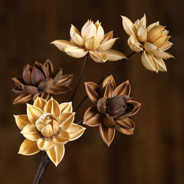 

1pcs 55cm dried flowers natural lotus home decorating wedding decoration party decorative floral flower branch center pieces