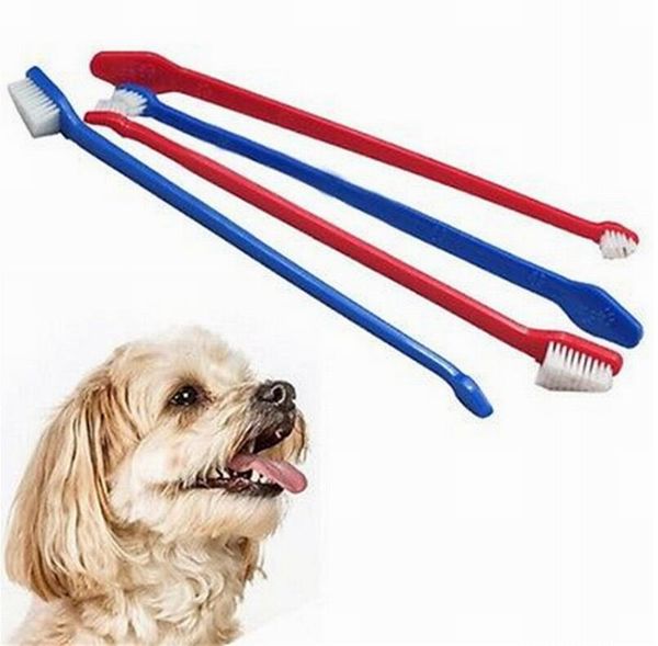 

горячие продажи зоотоваров cat puppy dog стоматологический уход зубная щетка цвет случайные поставка dhl fedex ups sf быстрая перевозка груз