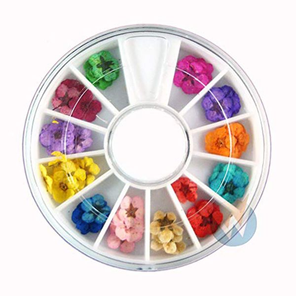 

natural dried flower silicone resin mold art accessories real dry dried flowers 12 colors bundle set in wheel^40