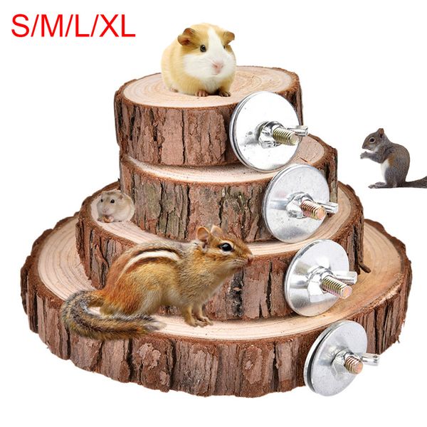 

cute squirrel hamster parrot bird wooden board jumping platform pet stand play toy