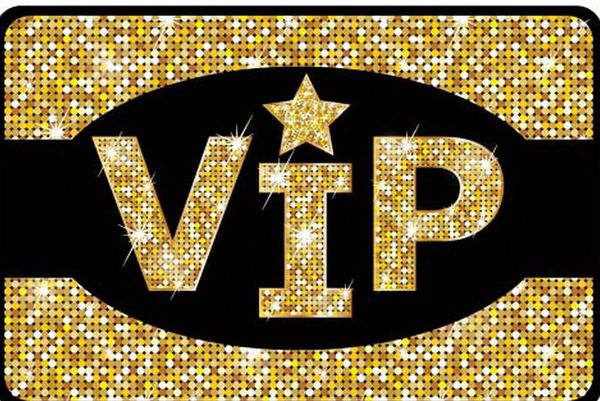 

special fast payment link for vip customer old customer checkout link extra charge vip special link ljjk