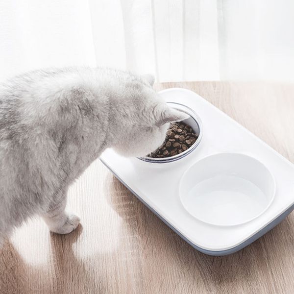 

care for spine dog feeder automatic water dispenser food drinking bowl for dogs