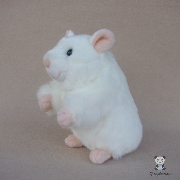 

прекрасные игрушки cute чучела тоторо куклы real life плюшевый хомяк игрушки детские мини-белый куклы мышь