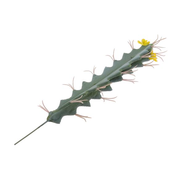 

artificial cactus succulent plants miniascape bonsai potted decorative