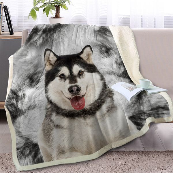 

hm life alaskan malamute 3d printed throw blanket on bed sofa animal dog sherpa fleece blanket soft thin quilt home textile