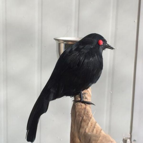 

stuffed feathered black raven crow bird decoration fancy dress halloween new s09