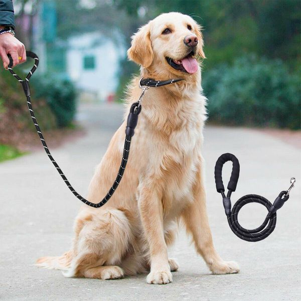 

pet dog leash rope nylon adjustable training lead pet dog leash strap rope traction harness collar lead running leashes
