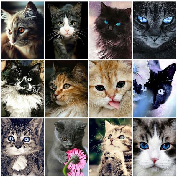 

new full square diamond painting cat 5d diy diamond embroidery animal mosaic picture of rhinestone home decoration girl hobby
