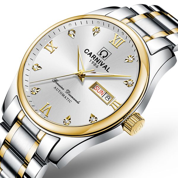 

switzerland luxury men's watch carnival brand watches men automatic mechanical reloj hombre luminous clock sapphire c-8612g-2, Slivery;brown