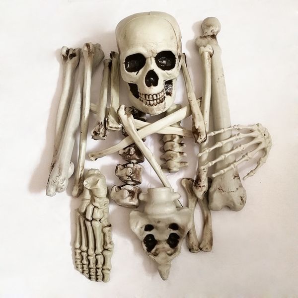 

halloween skeleton haunted house secret room bar horror props decoration whole decoration human bones skull pet supplies