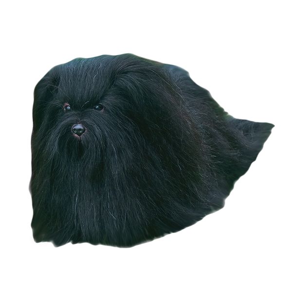 

dog mannequin for grooming training synthetic model dog for pet groomer, White