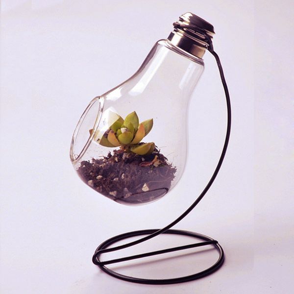 

bulb shape glass vase micro landscape eco bottle with holder