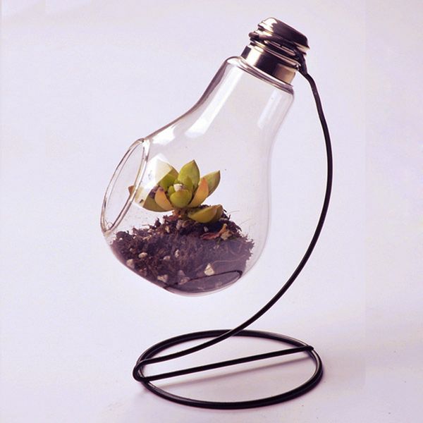 Vaso in vetro a forma di bulbo Micro Landscape Eco Bottle con supporto