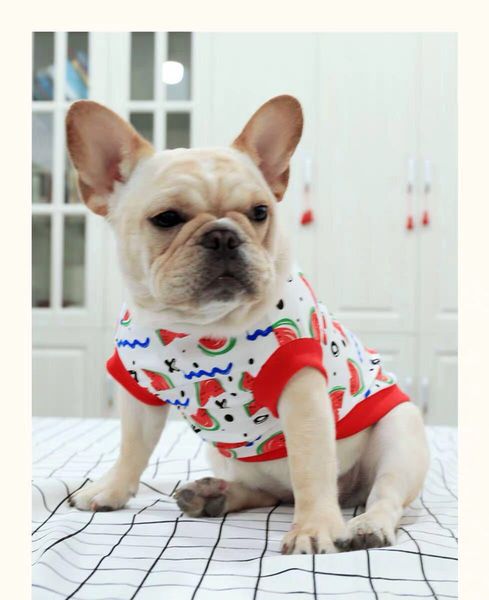 

law bucket corgi fat dog spring and summer clothing cute watermelon printed pet clothes dog