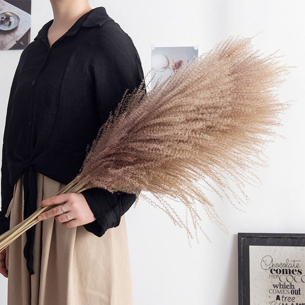 

pampas grass decor wedding natural phragmites real dried plants for decor home wedding christmas decoration flower bunch
