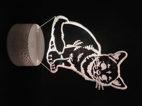 

2019 selling 3d lamp pets cats the kitten bright base color changing with remote unique decoration led night light lamp