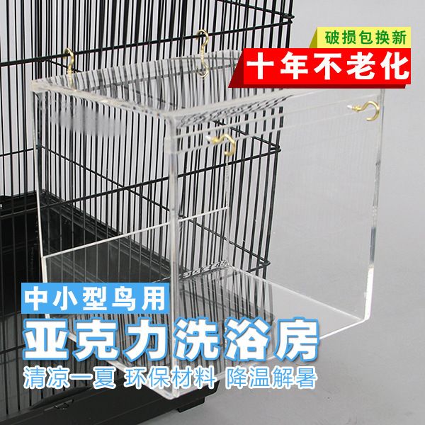

parrot bird bath basin tiger skin peony finch small the sun cockatiel birds bathtub