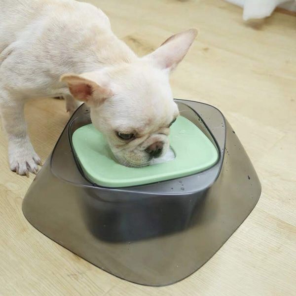 

пѬакиекие pet floating water bowl не spill ани глоа slow идеѬ вод дл обак и коек поѬ