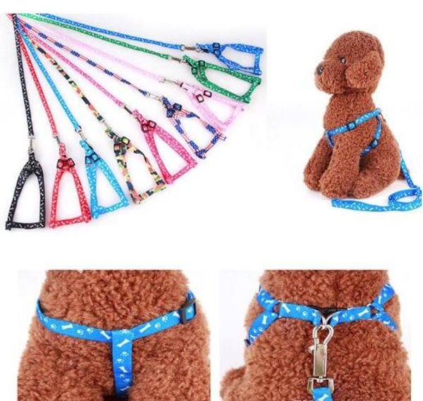 Più nuovo 1.0 * 120 cm Guinzagli per imbracatura per cani Collare per cani regolabile in nylon stampato Cucciolo Animali per gatti Accessori Collana per animali domestici Collare per cravatta in cordaWY060