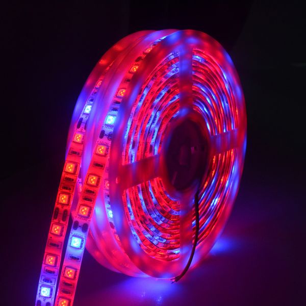

5m led phyto lamps full spectrum led strip light 300 leds 5050 chip led fitolampy grow lights for greenhouse hydroponic plant