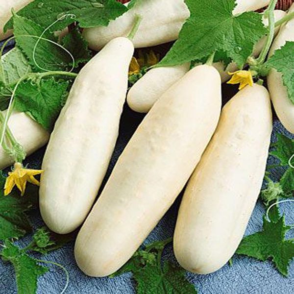

100 pcs/ bag cucumber decor artificial planters christmas decorations