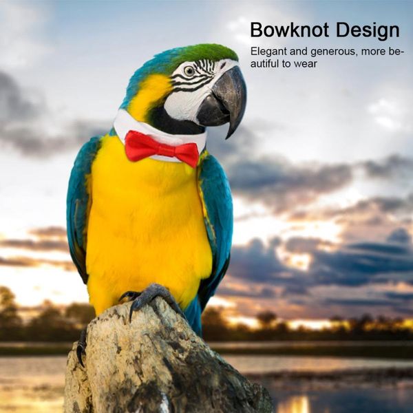 

pet bird clothes parrot necktie lovely elegant bowknot tie hand-made small tie