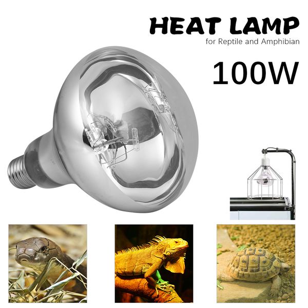 

гоѬие 80w / 100w pet Ѭепилии оопление лампа e27 лампа лампа дл ооплени chicken амиби