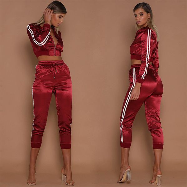 

womens striped panelled tracksuits fashion zipper fly donna sport 2pcs sets designer ankle banded pants suits, Gray
