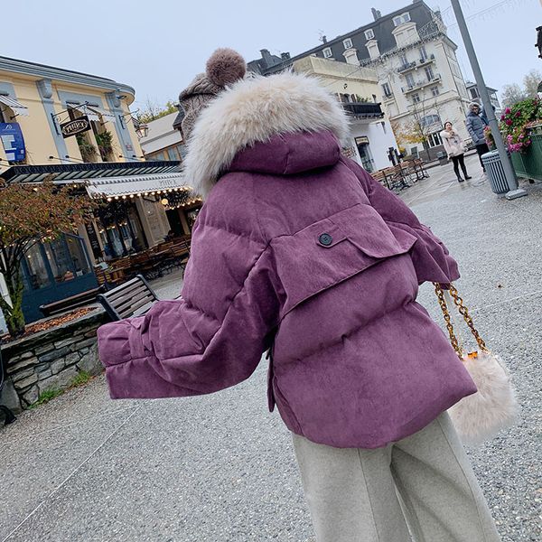 

фотосессия пуховик хлопок-мягкая одежда женская короткая зима 2019 новый стиль корейский стиль свободного покроя с капюшоном повседневная хл, Blue;black