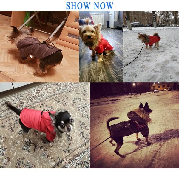 

pet dog coat хлопок зима теплая маленькая собака одежда для чихуахуа мягкий меховой капюшон puppy куртка одежда для собак одежда 5 размер