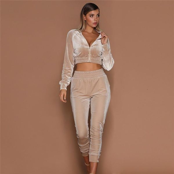 

2018 women two piece set female tracksuit velvet hoodies + pants ladies long sleeve outfit femme sporting suits, Gray