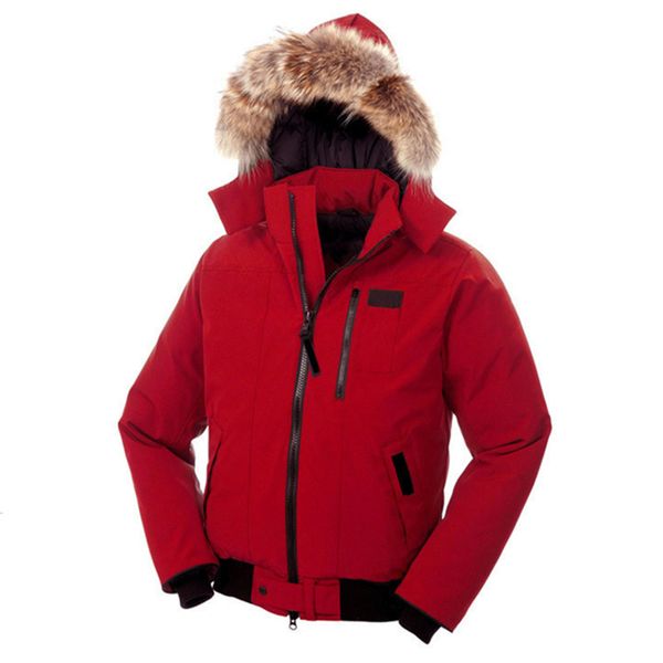 

dhl бесплатная доставка мода стиль пуховик для мужчин coyote fur средний стиль пальто зима теплая борден-бомбардировочной parka борден bombe, Black