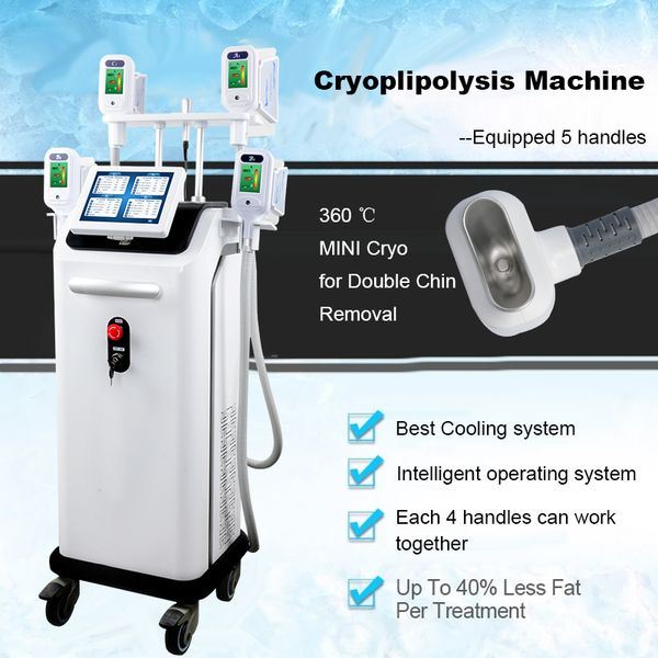 

2019 new arrivalscryolipolysis machine fat e weight loss fat e weight loss fat reduction 4 handles