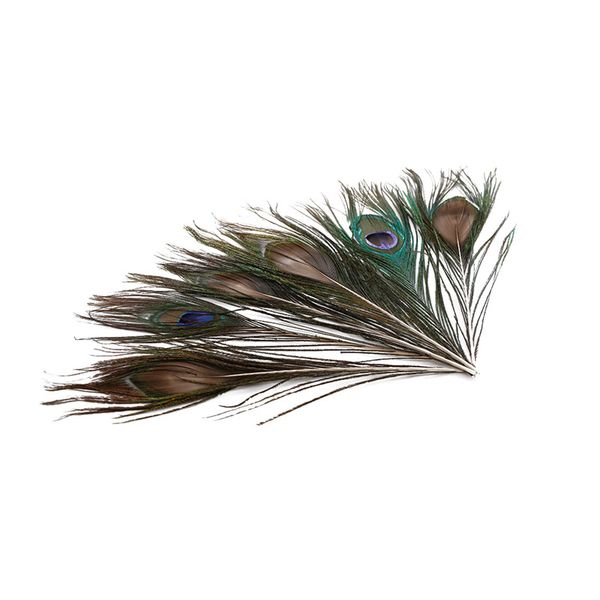 Natural Peacock Feathers Diy Home Decoration Party Decor Gift