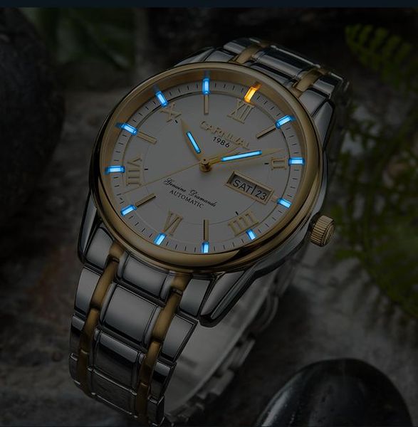 

carnival switzerland mechanical watch men sapphire steel waterproof mens watches brand luxury 30 meters sapphire waterproof wristwatch, Slivery;brown