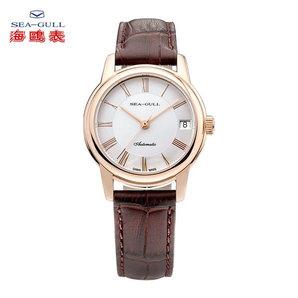 

seagull ladies mechanical watch fashion simple leather buckle 30 meters waterproof calendar business ladies watch d519.405l, Slivery;brown