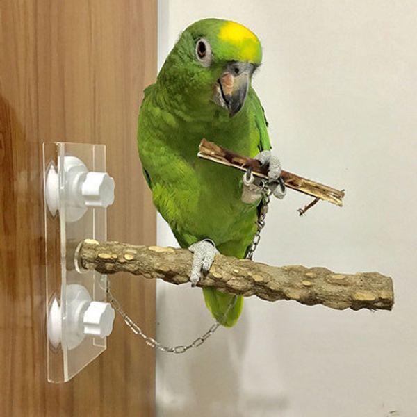 

new pattern go out portable chinese prickly ash wooden vehicle take a shower in the air stand frame bring sucker parrot toys