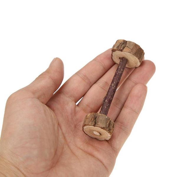 

1pc cat natural catnip silvervine sticks pet teeth cleaning chew branch toy