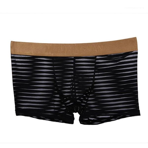 

underpants boxer striped mesh mx mens hombres boxers fashion see through transparent, Black;white