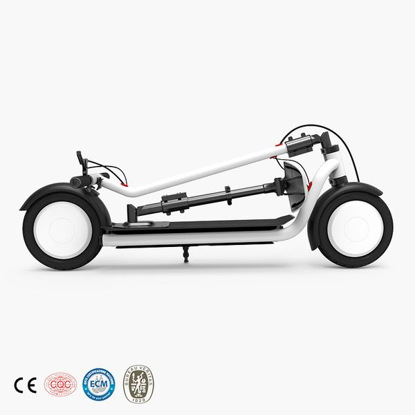 

10 inch 36v battery 2020 foldable electric scooter