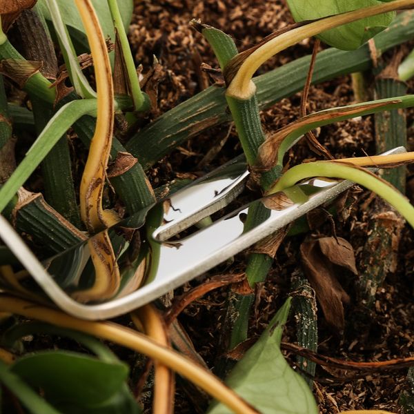 

2 style stainless steel manual weeding fork wood handle transplanting digging tools manual removing taproot for homegrown garden other garde