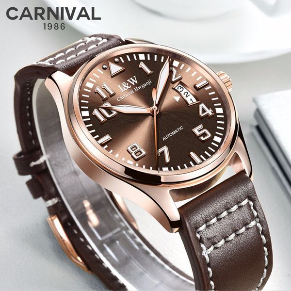 

switzerland mechanical watch men carnival business men watches luminous wrist automatic watch waterproof relogio masculino, Slivery;brown