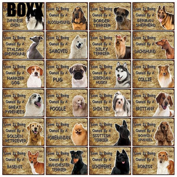 

обаки аки баенджи колли болие пиѬенеи иба инђ меаллиека ввека дома