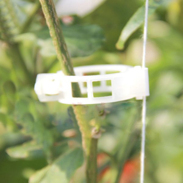 

800pcs tomato clips connect pepper cucumber vines to trellis twine diy