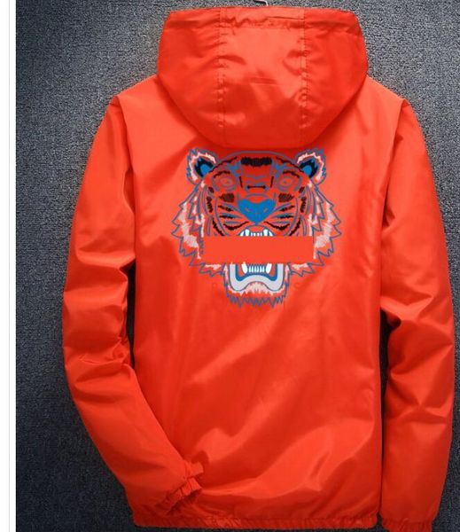 

Jaquetas lili2019507